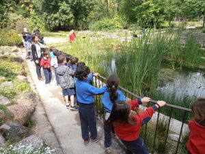 Razones para que los niños aprendan a amar la naturaleza