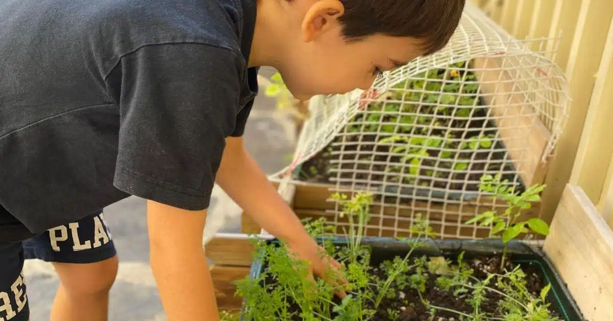 educación ambiental