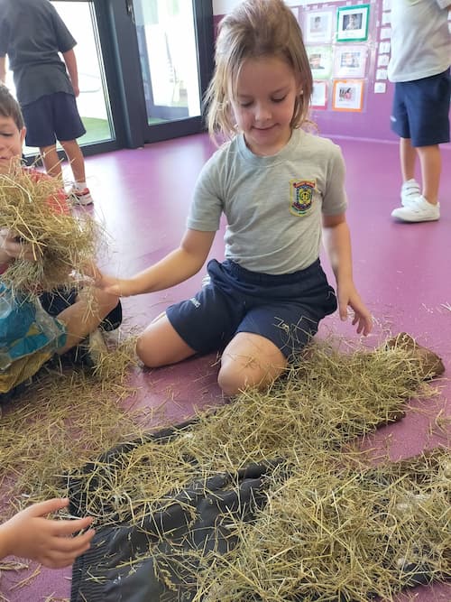 Manualidades huerto infantil - espantapájaros casero