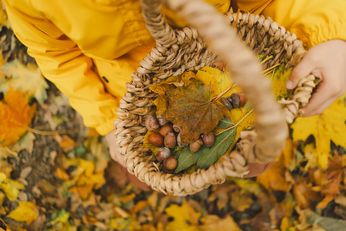 juego heurístico - cesto de los tesoros